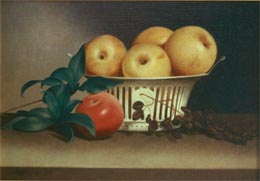 renaissance paintings - a still life after peale